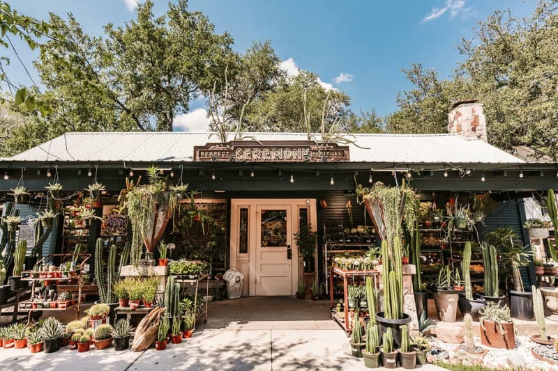 A plant-filled shopfront near the Wimberley square