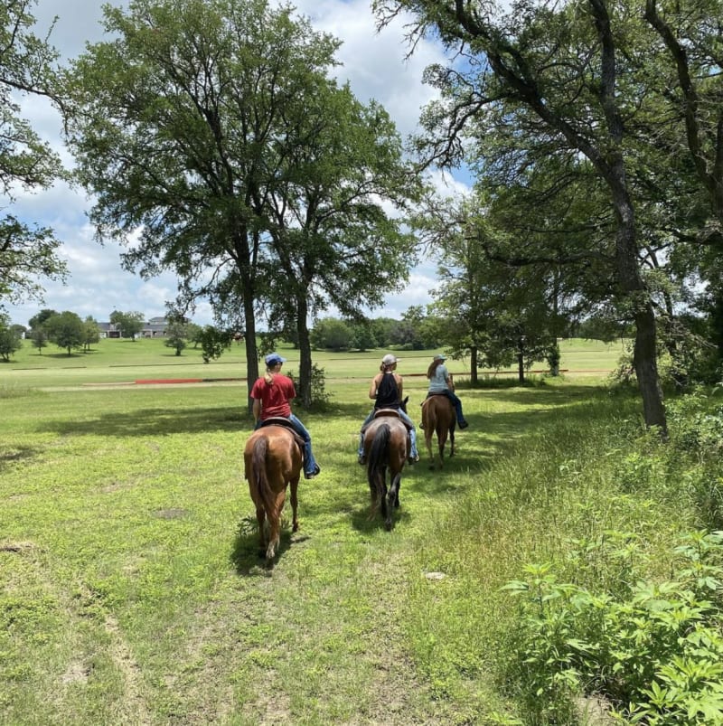 Southern Trails Horseback — Adventure in Canyon Lake