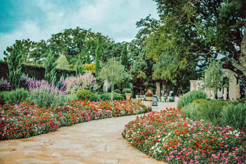Signor Vineyards — Winery in Fredericksburg