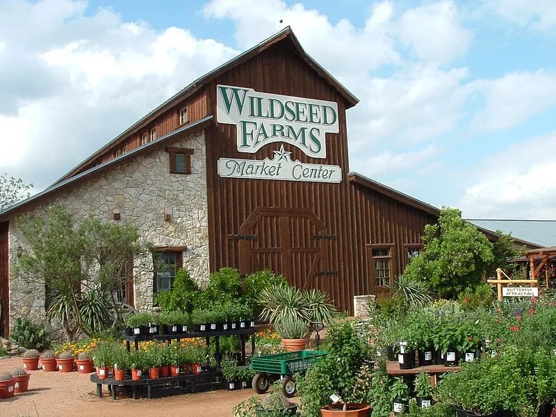 Wildseed Farms — Wildflower Farm in Fredericksburg